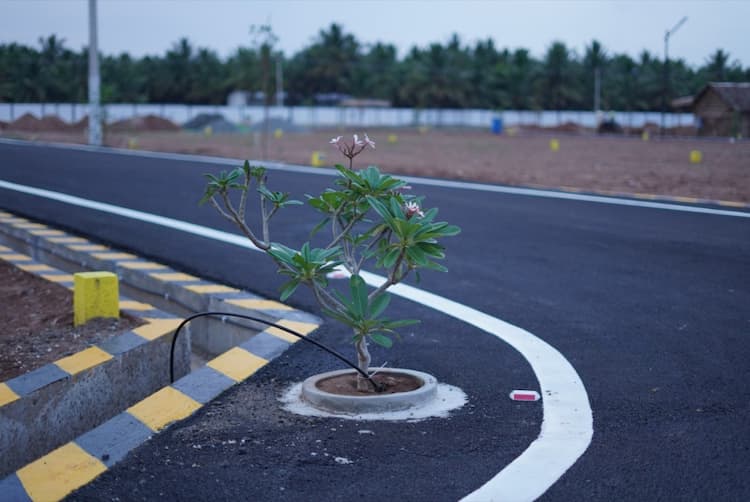 Single Property Image