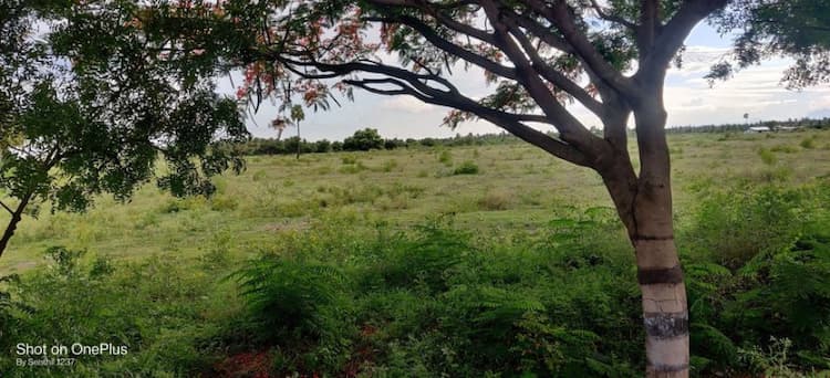 site for sale