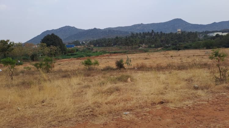 Residential Plot 103673 Sq.ft. for Sale in Kovaipudur, Coimbatore