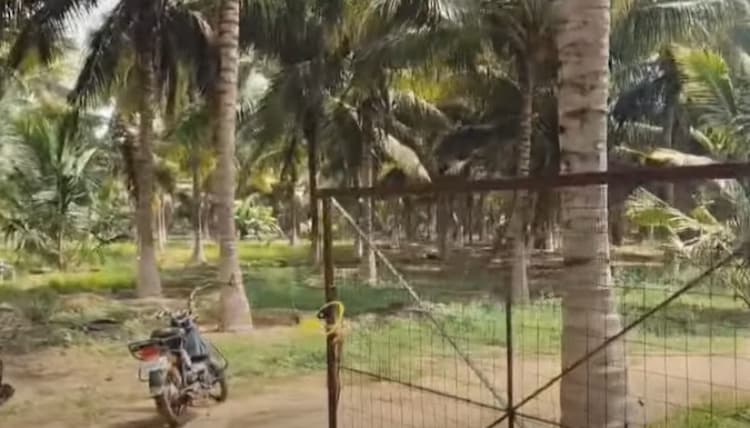 Single Property Image