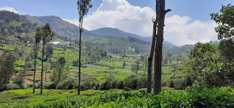 ON ROAD PROPERTY for sale