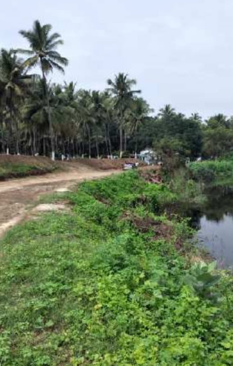 Land for sale