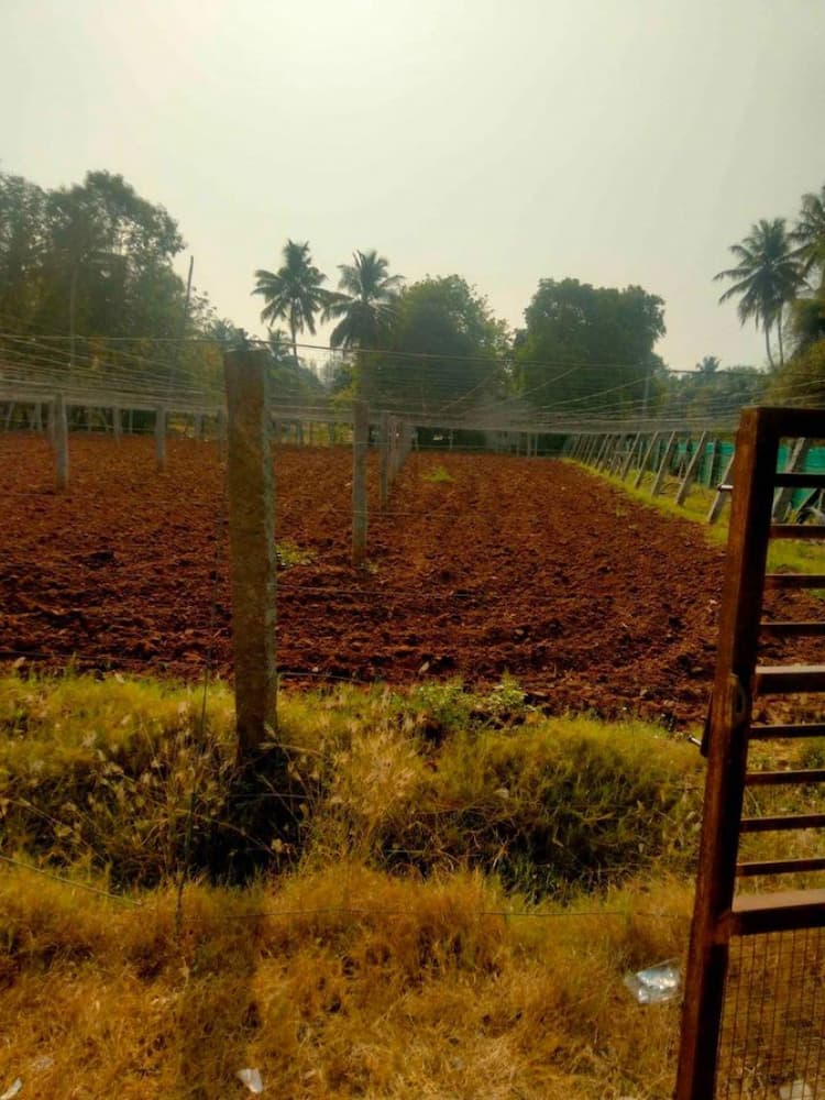 agri land for sale