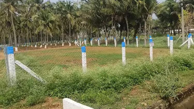 Single Property Image