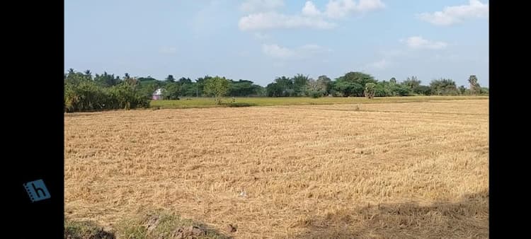 Agriculture land for sale