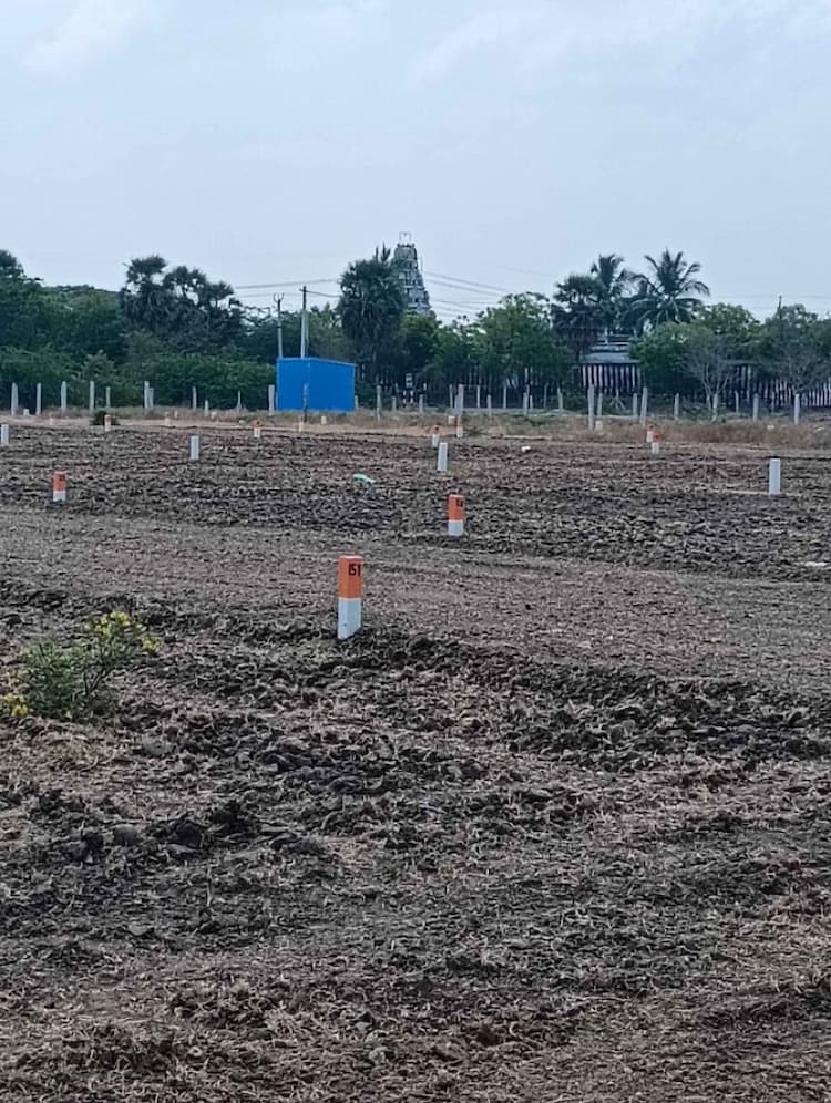 Plot sale