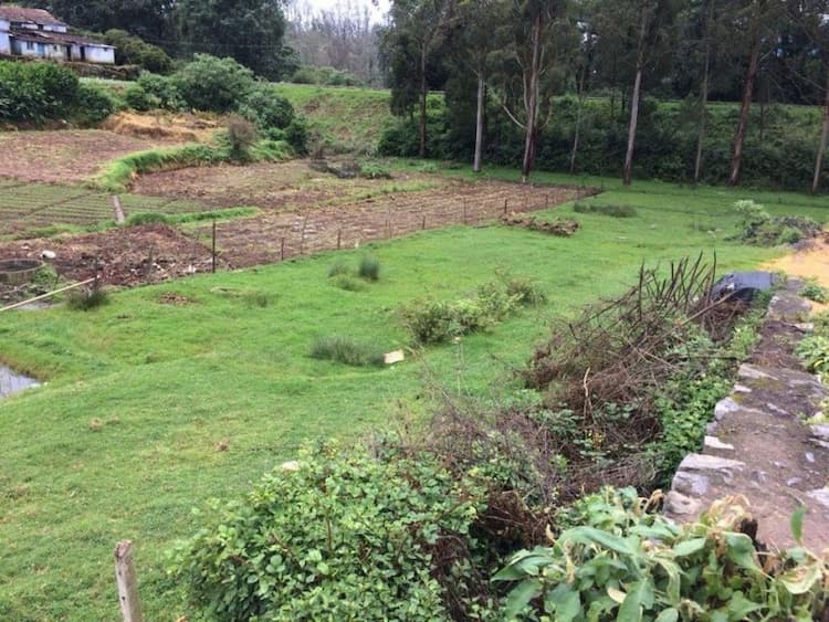 AGRICULTURE land for sale