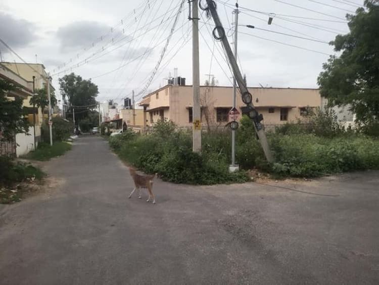 Single Property Image