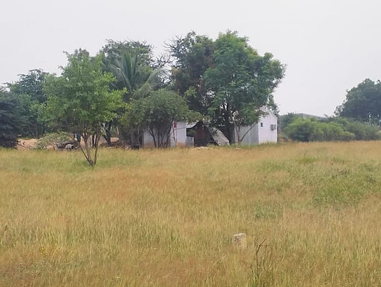 Single Property Image