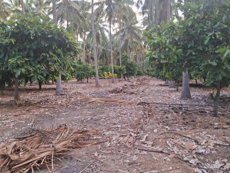 Single Property Image