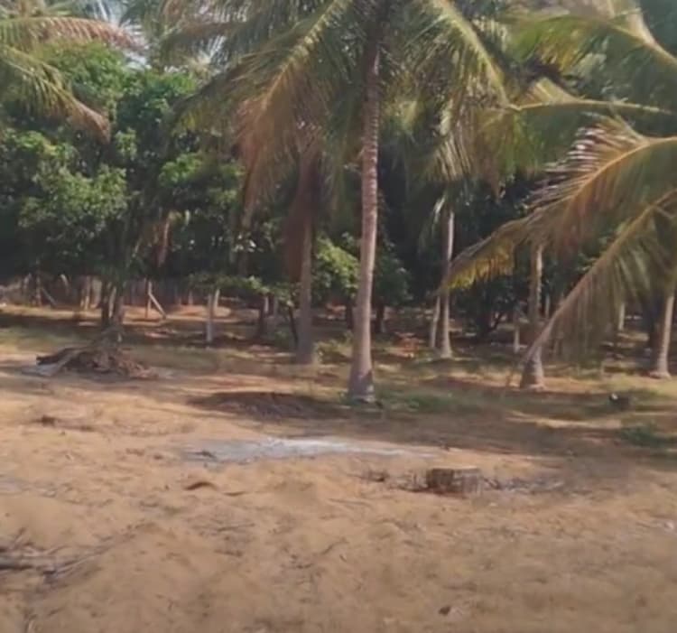Land for sales
