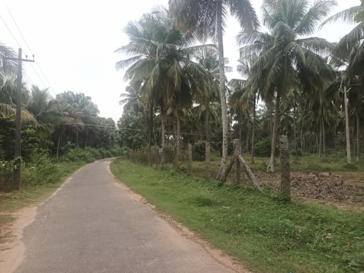 Single Property Image