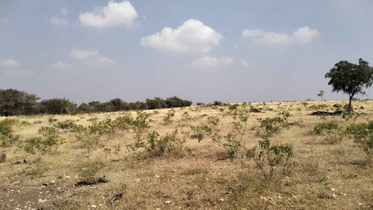 70 Acre Farm Land for Sale