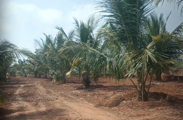 90 Cent Land for Sale