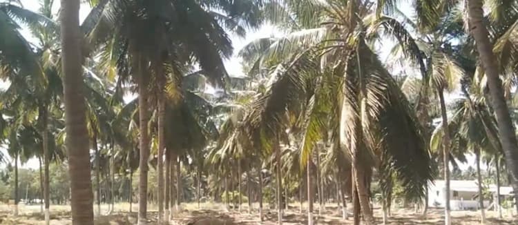 1.73 Acre Land for Sale