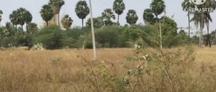 1.14 acre land for sales