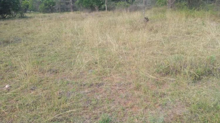 2.50 Acre Land for Sale in Kangeyam, MUthur