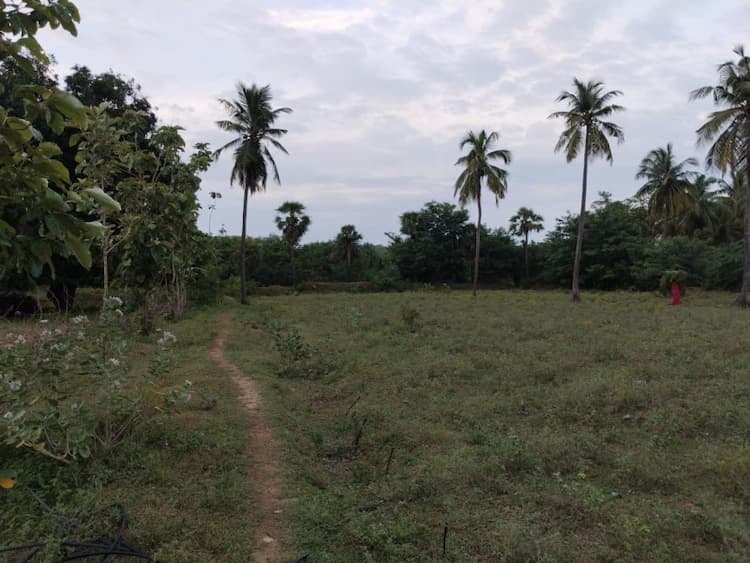 2.60 Acres Ariculture Land for Sale in Arcot