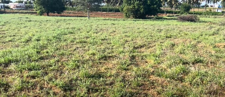 Single Property Image