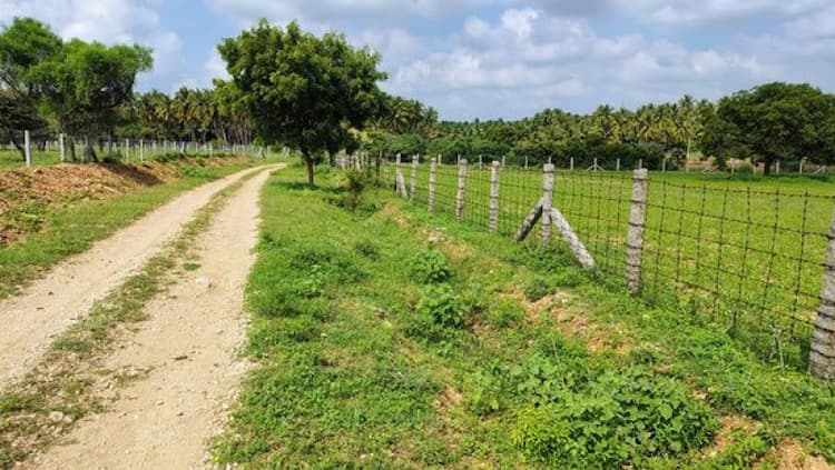 Single Property Image