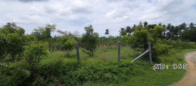 Single Property Image