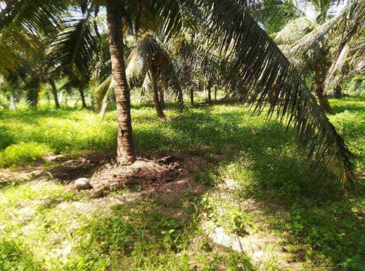 Single Property Image