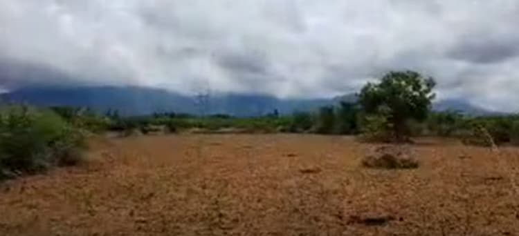 Low Budget Empty land for Sale