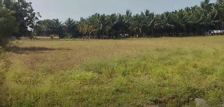 1.5 Acre Land for Sale