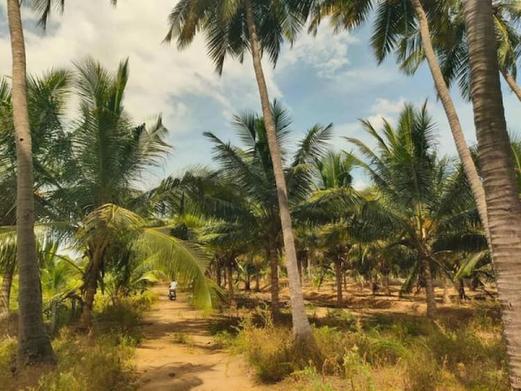 Single Property Image