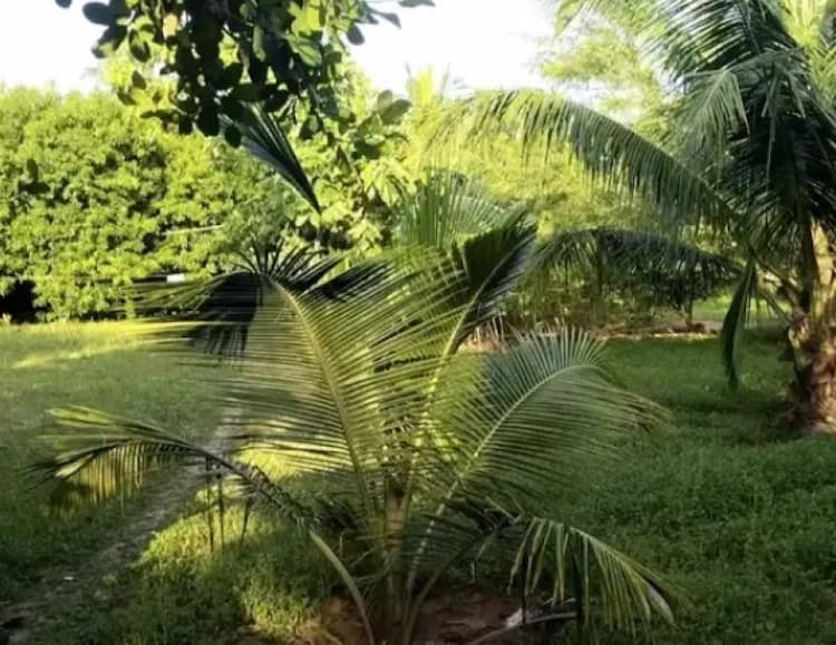 Single Property Image