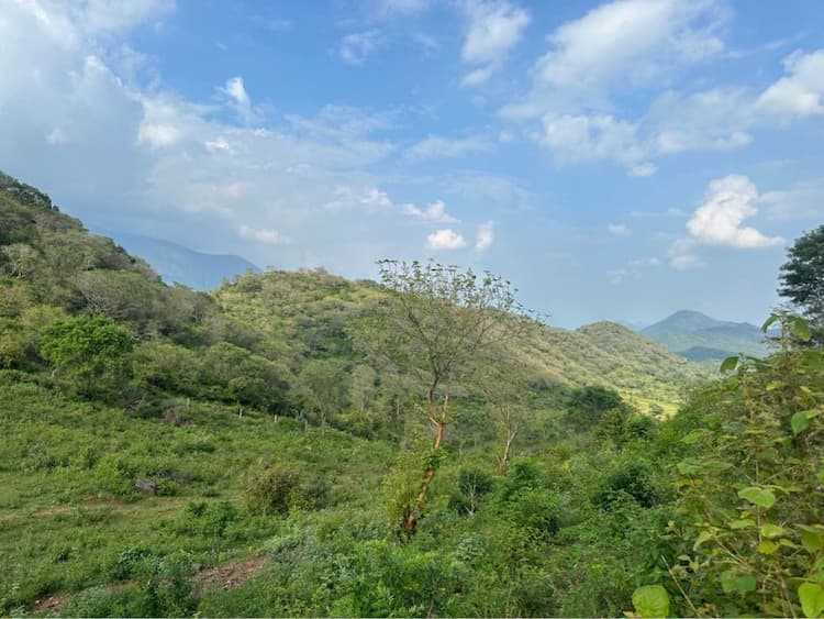 Single Property Image
