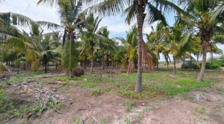 Single Property Image