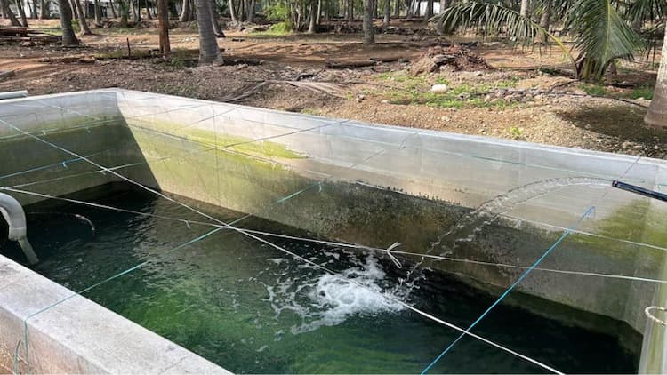 Land for Sale with House