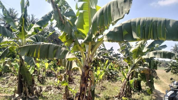 1.10 Acre Land for Sale