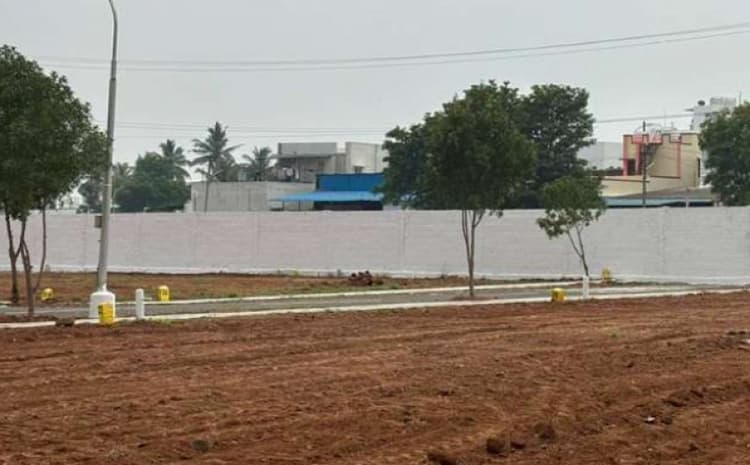 Land for sale