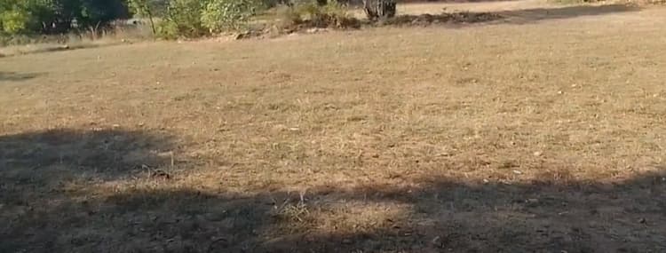 3 Acre land for sales