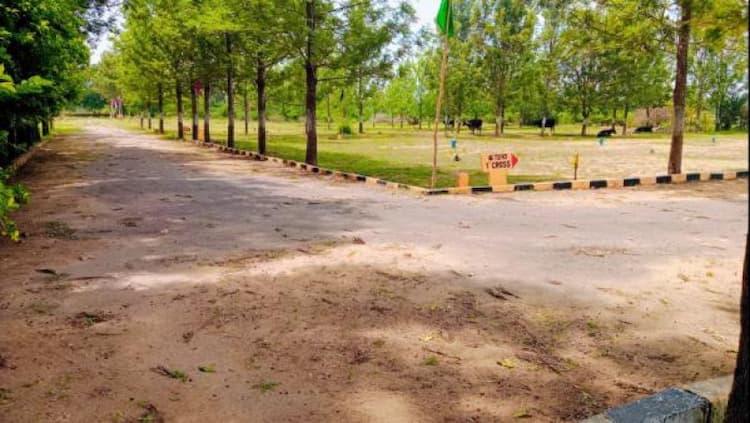 Single Property Image