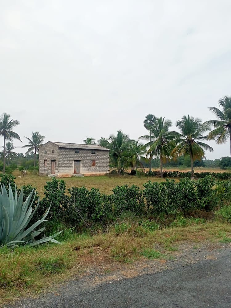 Single Property Image