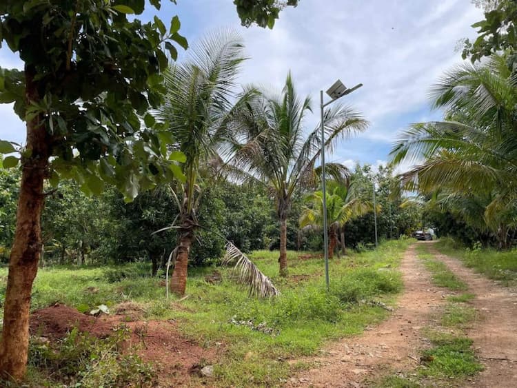 Single Property Image