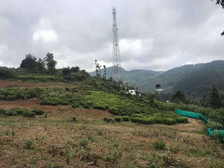Tea land available for sale at Kotagiri the Nilgiris.
