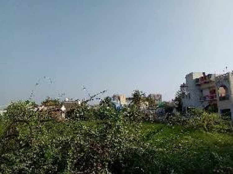Plot sale