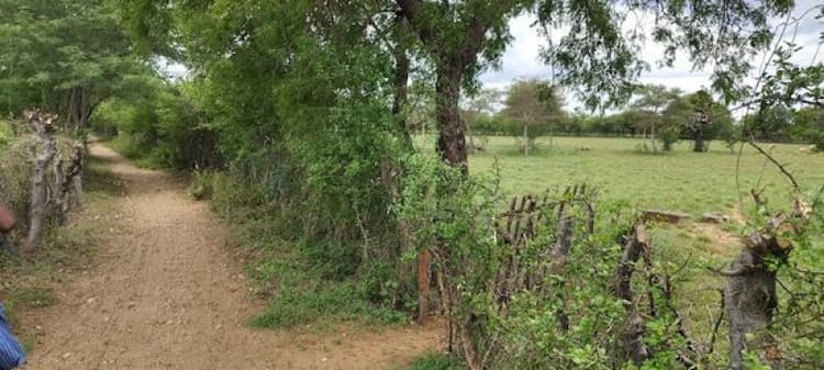 Single Property Image