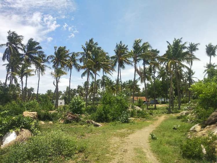 Single Property Image