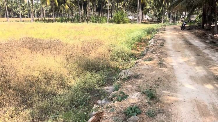 1 Acre Land for Sale