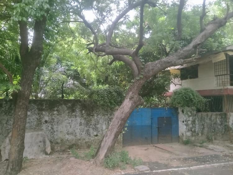 Land for sales