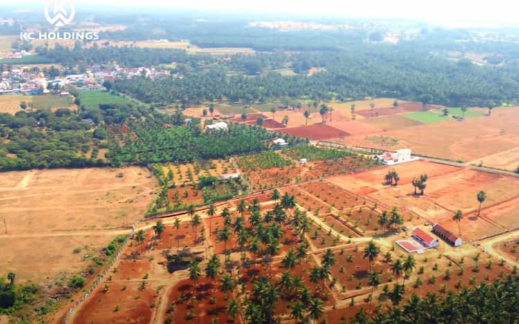 Agri Land For Sale