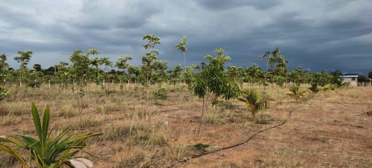 Single Property Image