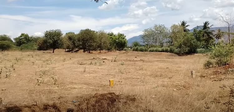 Empty Land for Sale