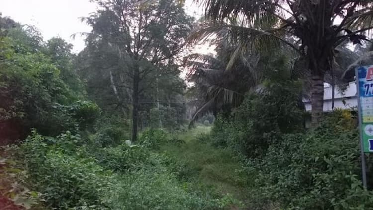 1.6 acre land for sale