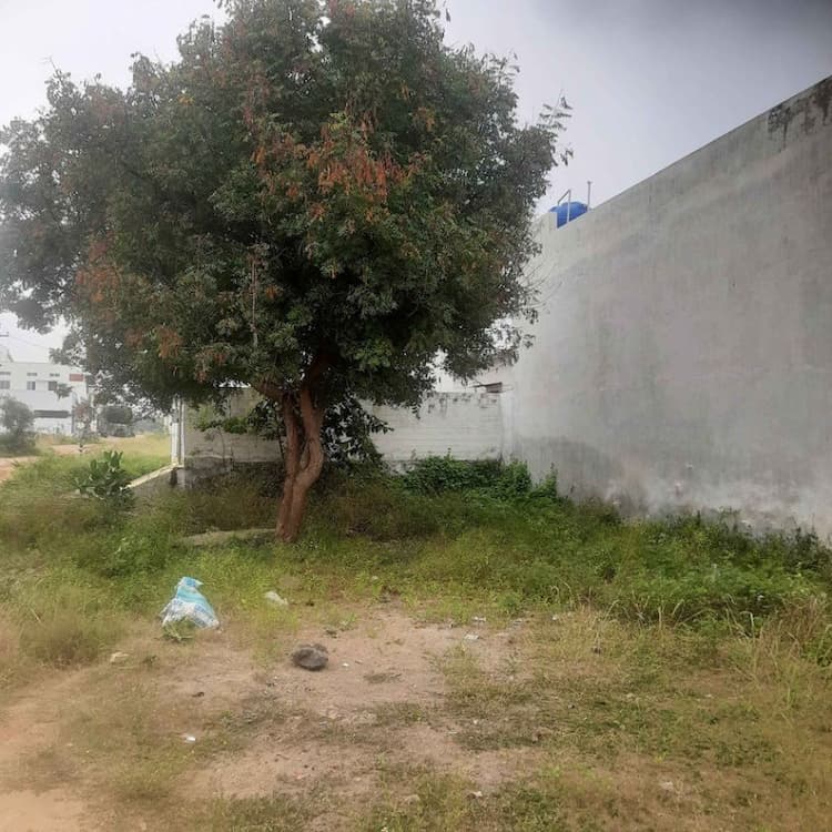 Corner Plot for Sale